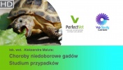 Choroby niedoborowe gadów. Studium przypadków. (1/3)