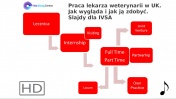 Praca lekarza weterynarii w UK