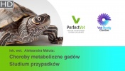 Choroby metaboliczne gadów. Studium przypadków. (1/2)