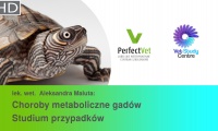 Choroby zwierząt egzotycznych i gryzoni. Kongres PerfectVet