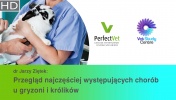Najczęstsze choroby królików i gryzoni. (1/2)