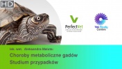 Choroby metaboliczne gadów. Studium przypadków. (2/2)