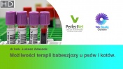 Babeszjoza - Możliwości terapii u psów i kotów (1/2)
